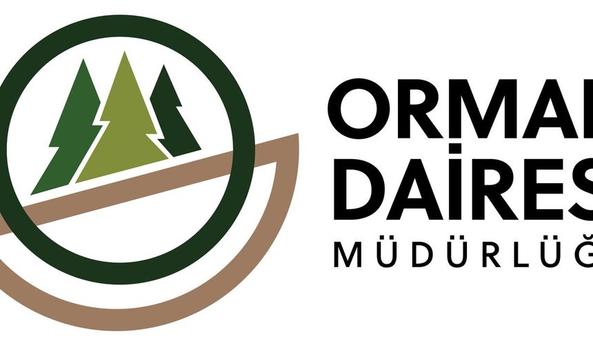 Orman Dairesi: Boğazköy'deki ağaç kesimi izinsiz yapıldı.. Yasal işlemler başlatıldı