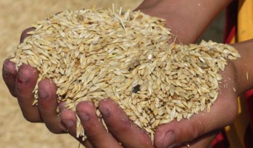 4 bin 500 ton arpanın yarın sabah Gazimağusa Limanı'na ulaşması bekleniyor