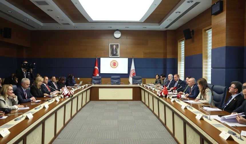 Cumhuriyet Meclisi Dostluk Grubu heyeti TBMM AB Uyum Komisyonu ile görüştü