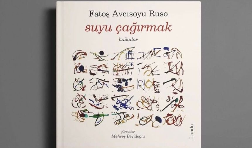 'Suyu Çağırmak' yayımlandı