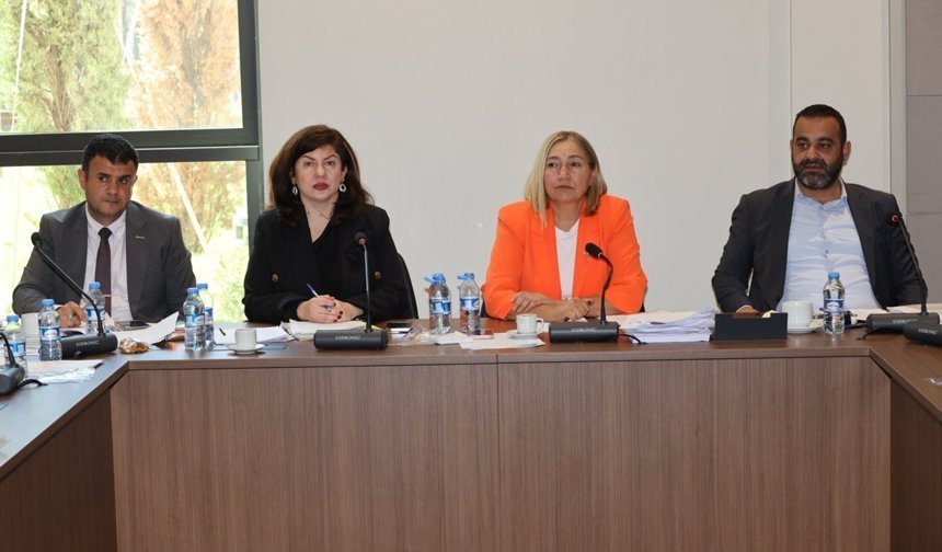 Hukuk, Siyasi İşler, Dışilişkiler ve Savunma Komitesi bir öneri ve dört yasa tasarısını Genel Kurul'a sevk etti