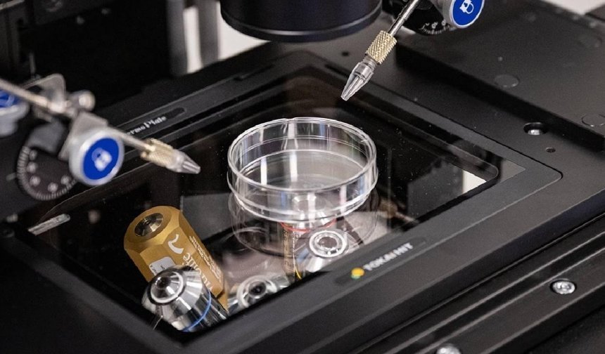 TDP Sağlık Komitesi: 'Tüp bebek merkezleriyle ilgili iddialar derhal araştırılmalı'