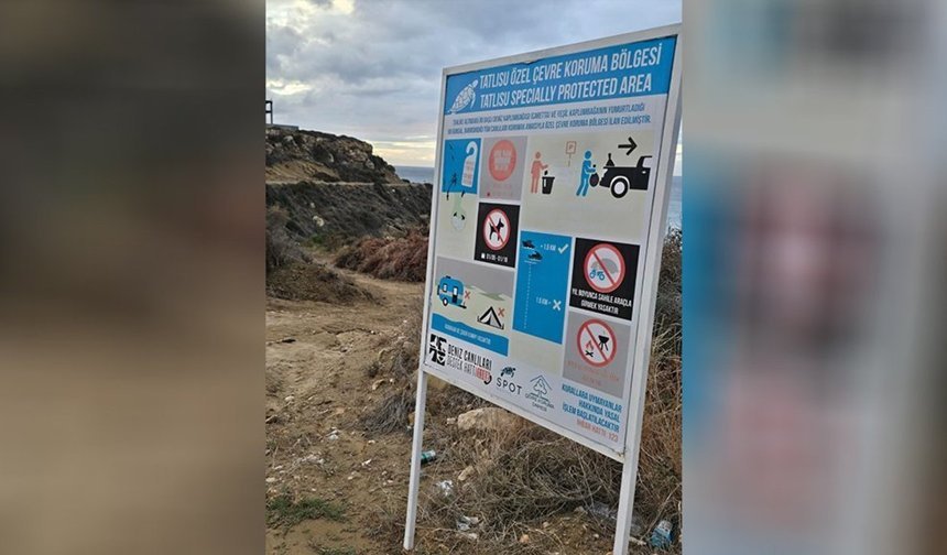 'Yuvalama sezonu öncesinde Kantara sahilinde önlem alın'
