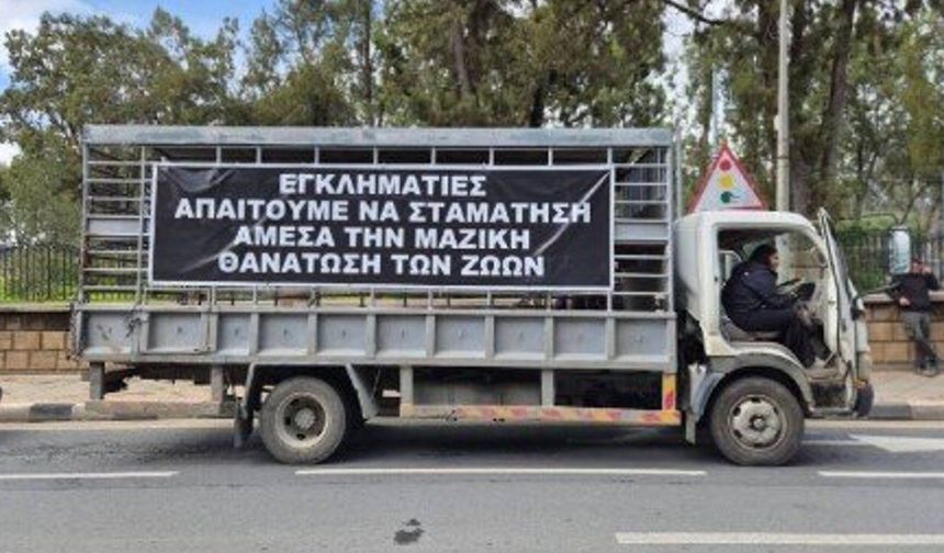 Güney Kıbrıs'ta Hayvancılar eyleme hazırlanıyor