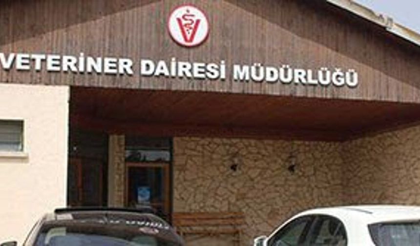 Veteriner Dairesi bayram öncesi denetimlerini sıklaştırdı: