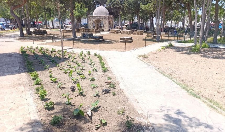 Girne Belediyesi'nden Baldöken Osmanlı Mezarlığı'na peyzaj düzenlemesi