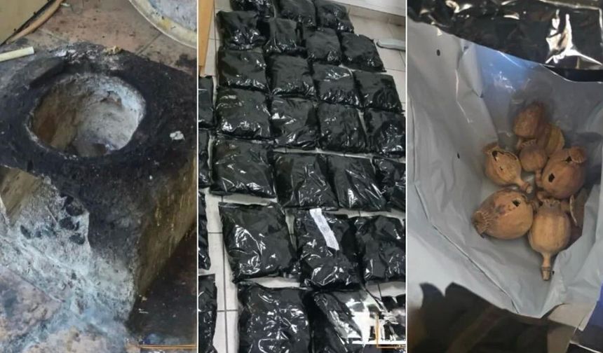 Güney Kıbrıs'ta ilk kez ve çok miktarda afyon haşhaşı ele geçirildi