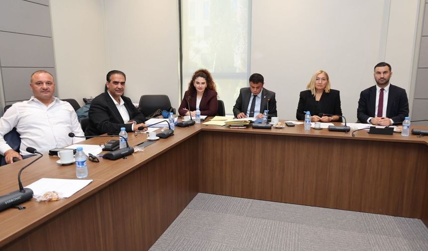 Hukuk, Siyasi İşler, Dışilişkiler ve Savunma Komitesi Yurttaşlık Değişiklik Yasa Tasarısı'nı onayladı
