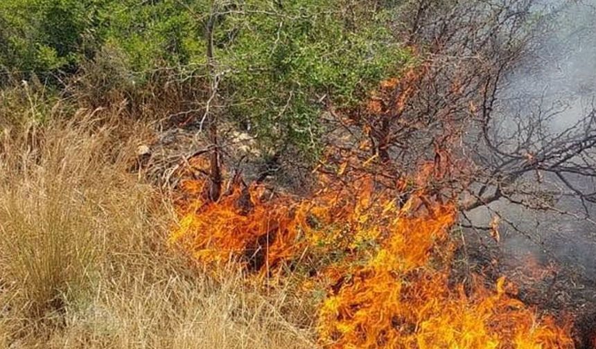 Taşkent'le Güngör arasındaki yangın söndürüldü