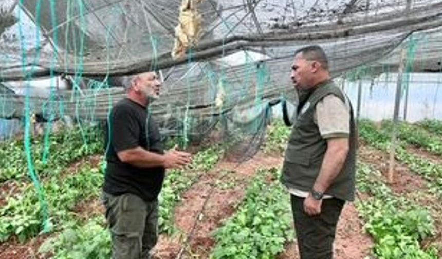 Çavuş, Güneşköy ve Aydınköy'de olumsuz hava koşullarının etkilerini inceledi