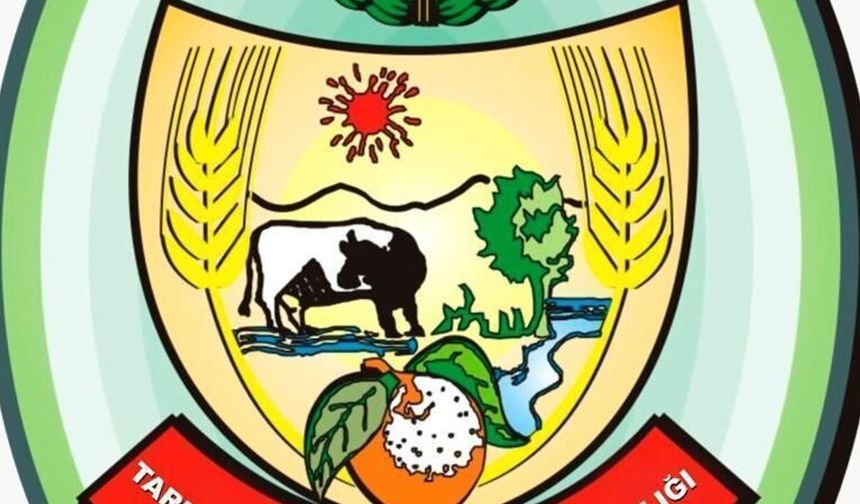 DÜÇ bünyesindeki Tohum Temizleme Sektörü faaliyete geçirildi
