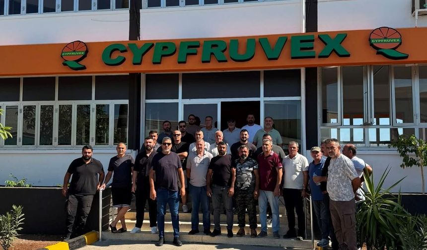 Narenciye Kesim Ekipleri Birliği ödeme talep etti