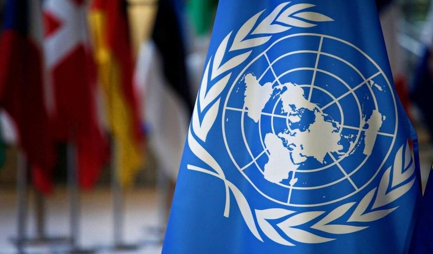Görüş birlikleri belgesi ilgili taraflara New York'ta verilebilir iddiası: