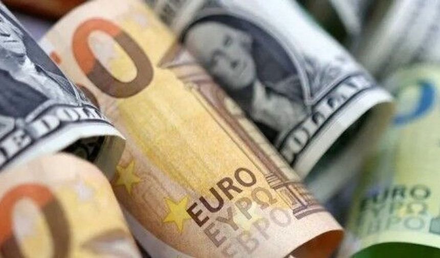 Döviz kurları: Dolar 49,20, euro 55,40, sterlin 65 TL